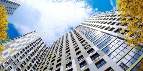 Изображение проекта