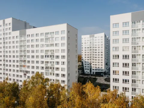 Изображение проекта